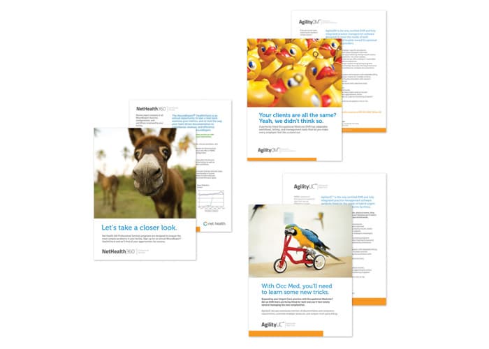 Photo Witty Product Brochures