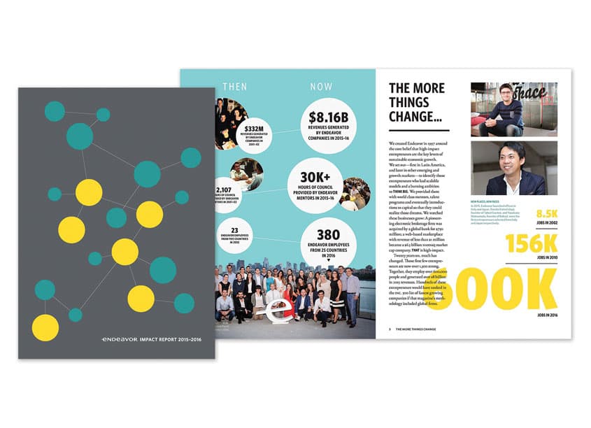 Endeavor Impact Report 2015-2016