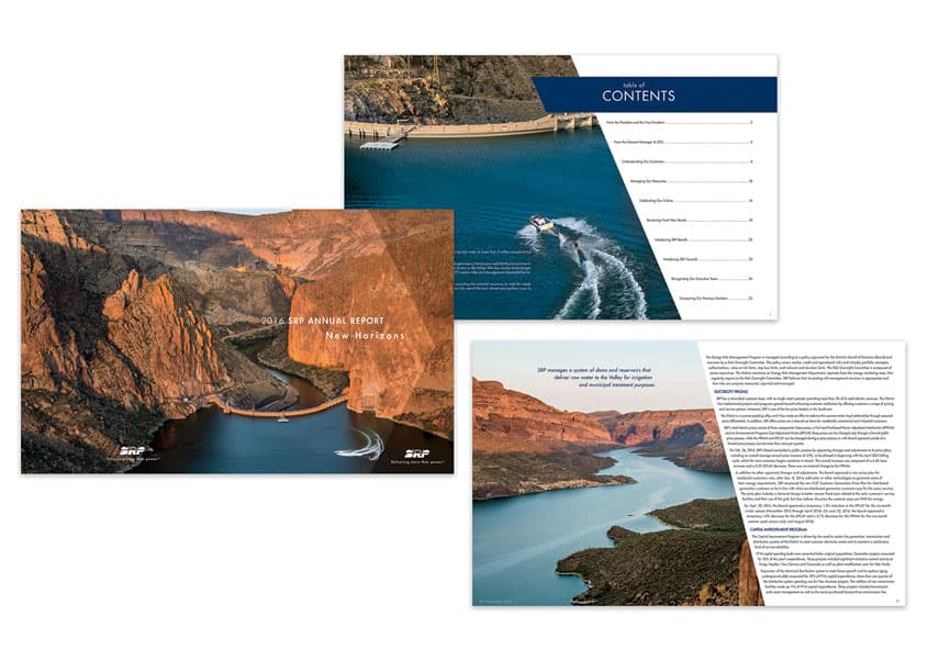 2016 SRP Annual Report - New Horizons