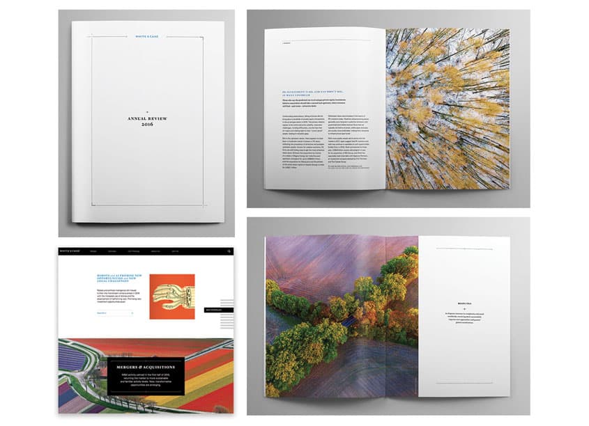 White & Case Annual Review