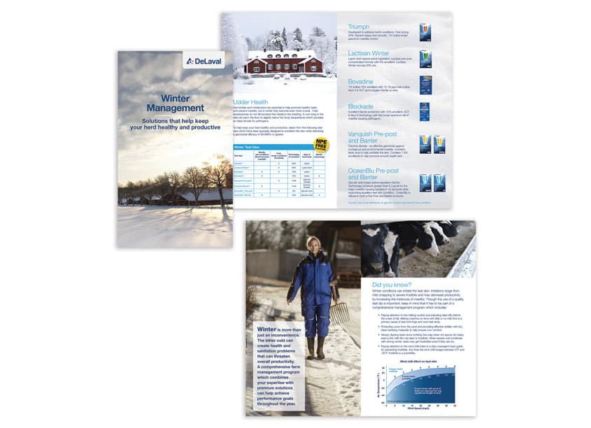 Winter Management Brochure