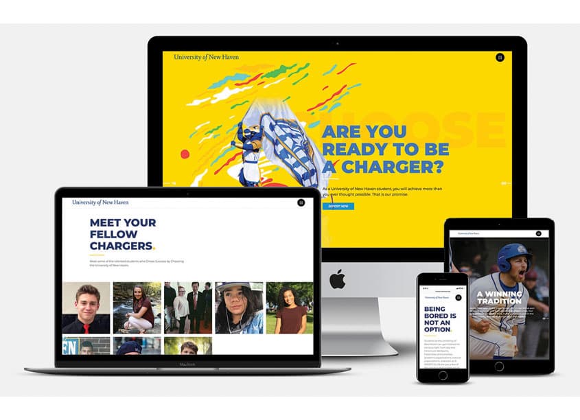 Website Design for 'Choose Success. Choose the University of New Haven.'