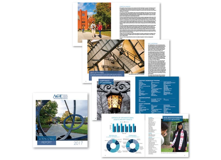 2017 Annual Report