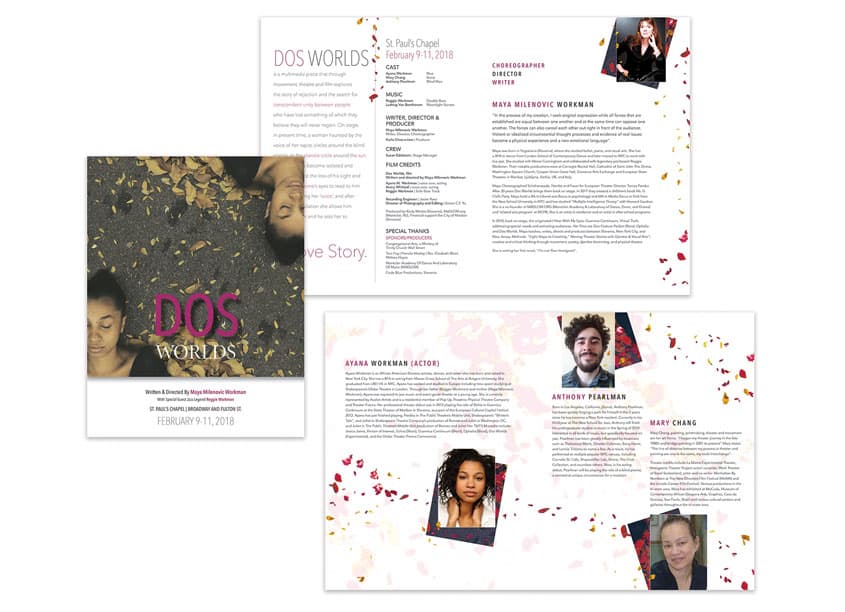 Dos Worlds Brochure and Collateral