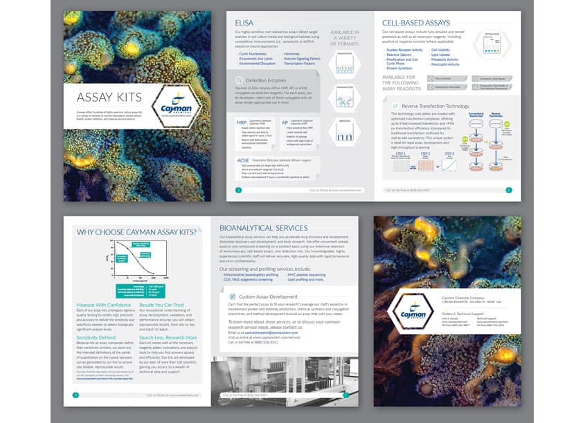 Assay Kits Brochure