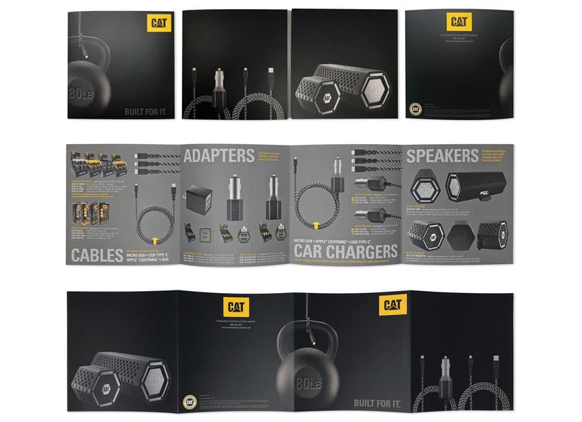 Cat Teaser Brochure