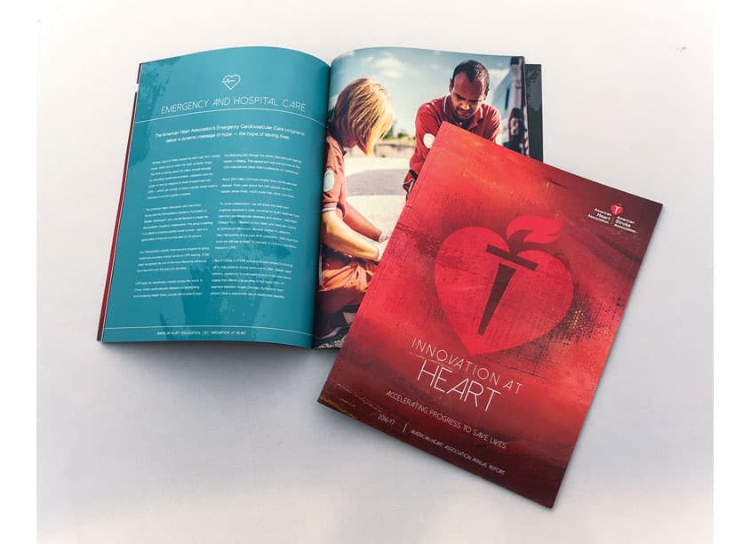 Innovation At Heart Annual Report 2016-17