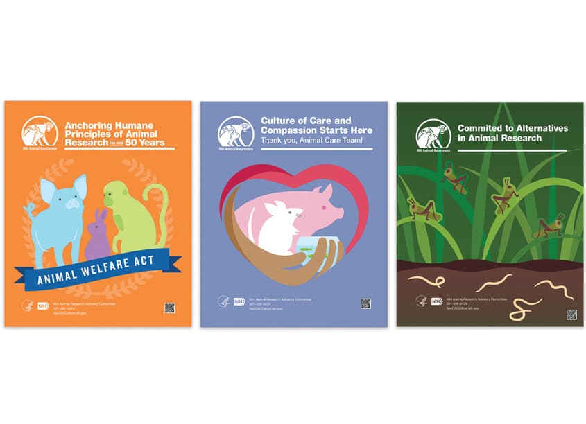 Educational Poster Series