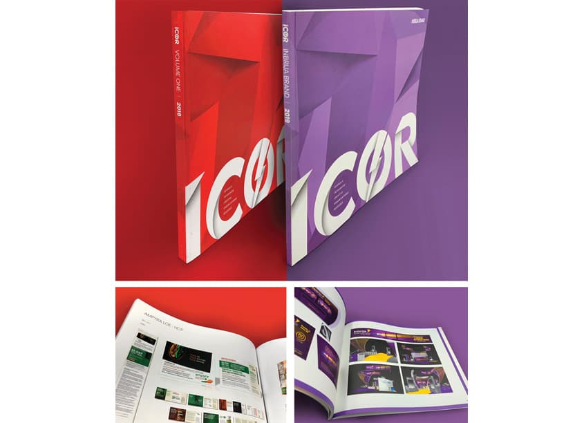 ICOR Summary Books