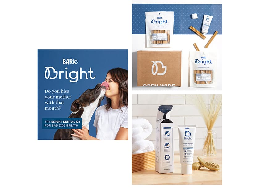 BARK Bright Dental