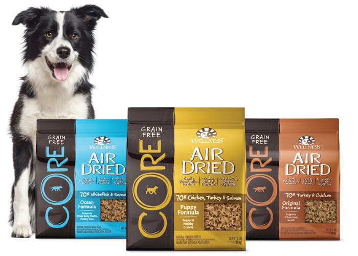 Wellness CORE Air-Dried