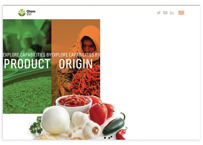 Olam SVI Website
