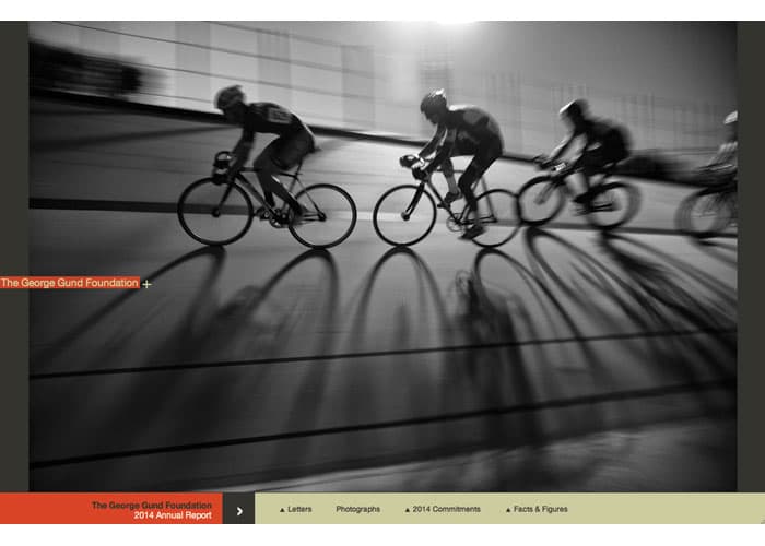 2014 Annual Report Website