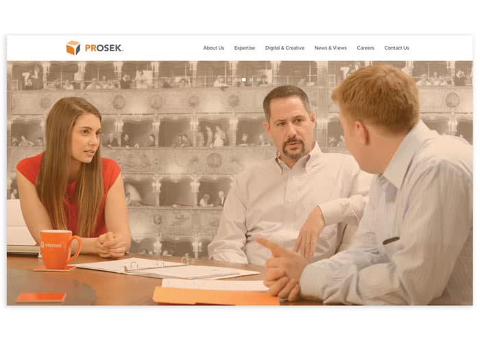 Prosek Partners Website