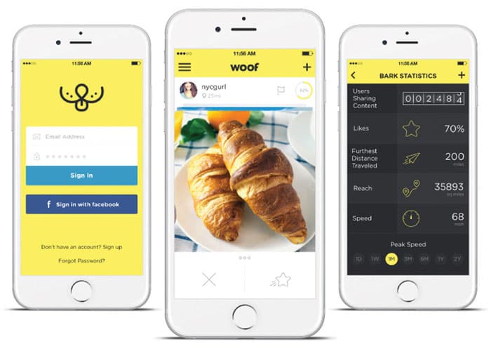 Woof Social App Design