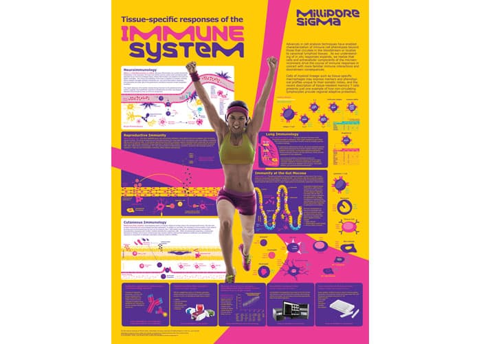 Immunology Poster