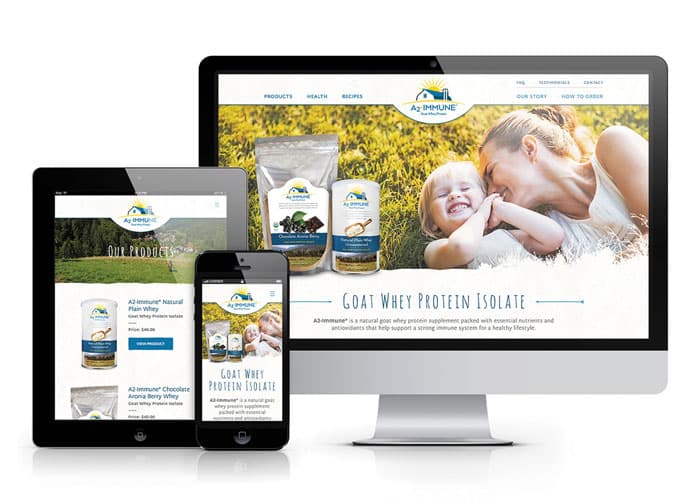 A2-Immune Website Design