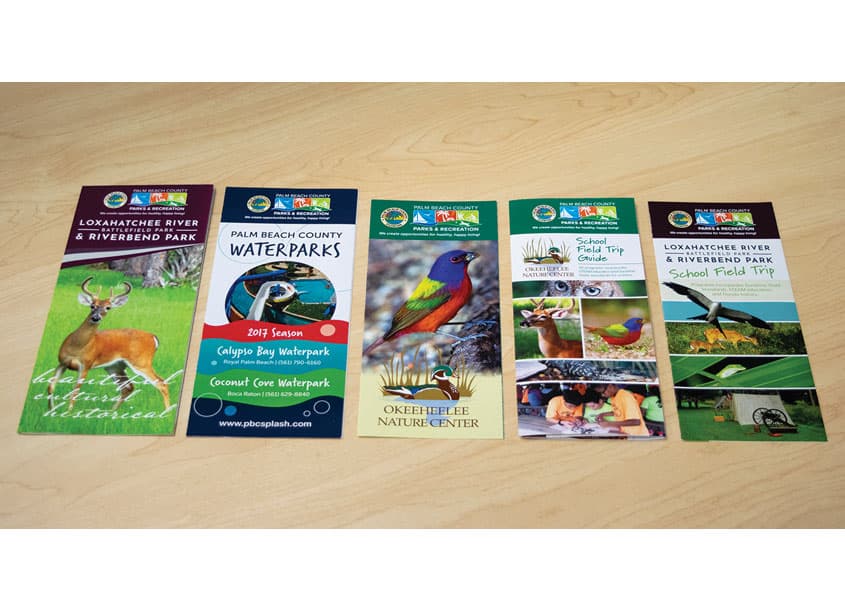 Palm Beach County Parks & Recreation Brochures