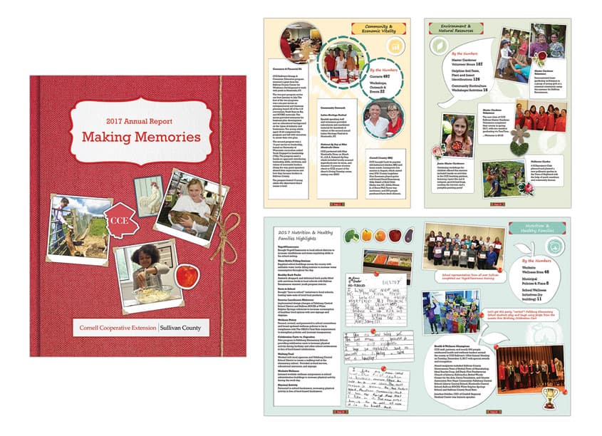 2017 Annual Report