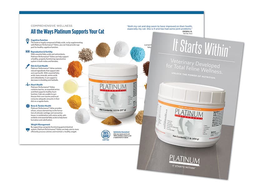 Feline Brochure — Health & Wellness design — by HB Design — 2020 GDUSA award winner