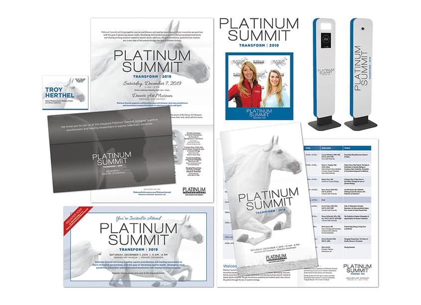 Platinum Summit Branding