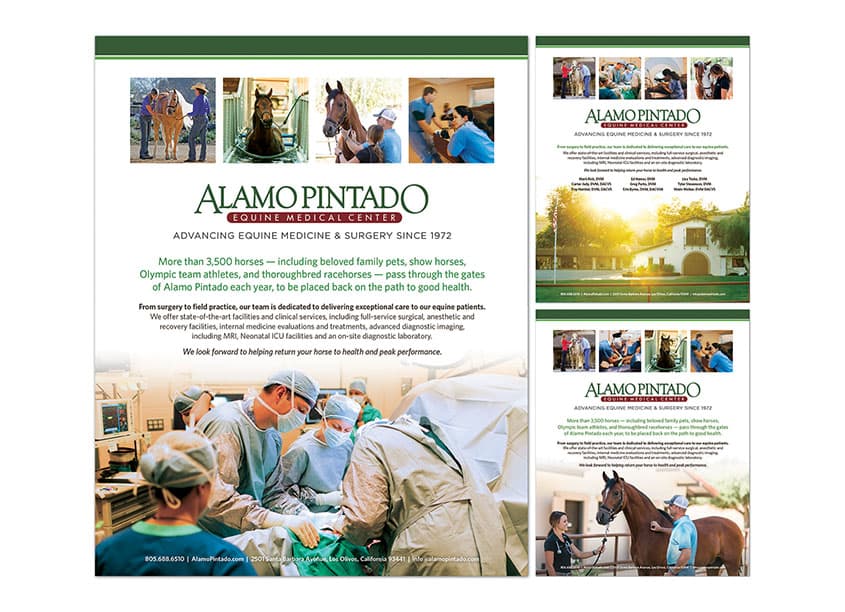 Alamo Pintado Advertising Campaign