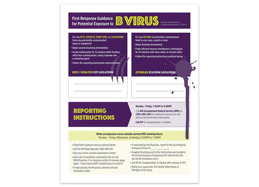 First Response to B Virus — Health & Wellness design — by National Institutes of Health (NIH) Medical Arts — 2020 GDUSA award winner