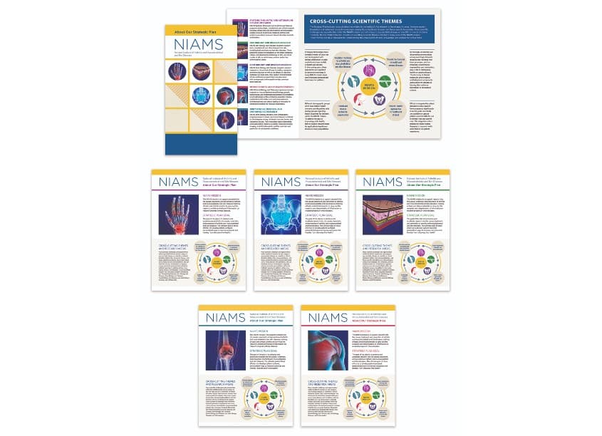 NIAMS About Our Strategic Plan Brochure