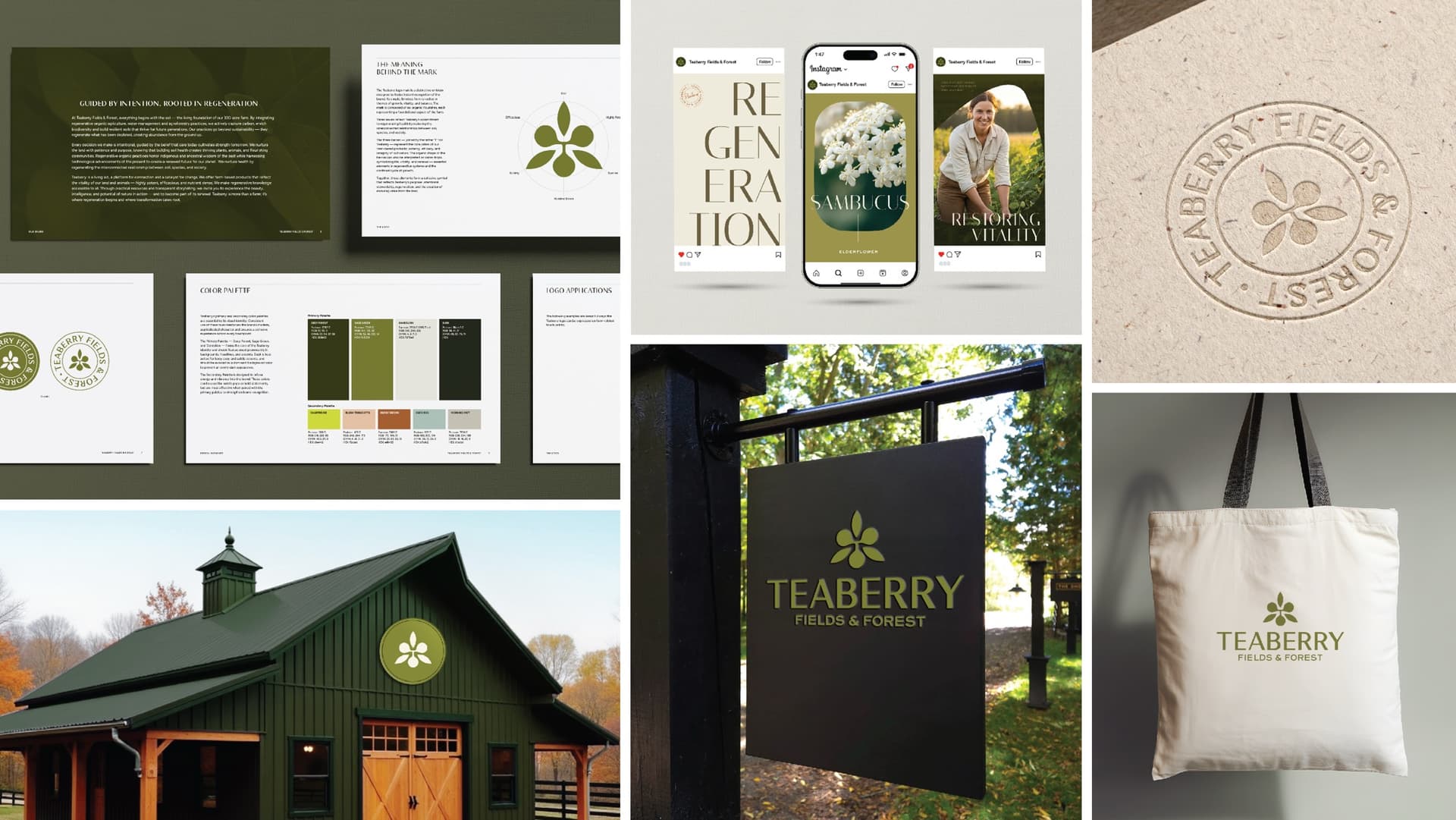 Teaberry Fields & Forest Branding Program