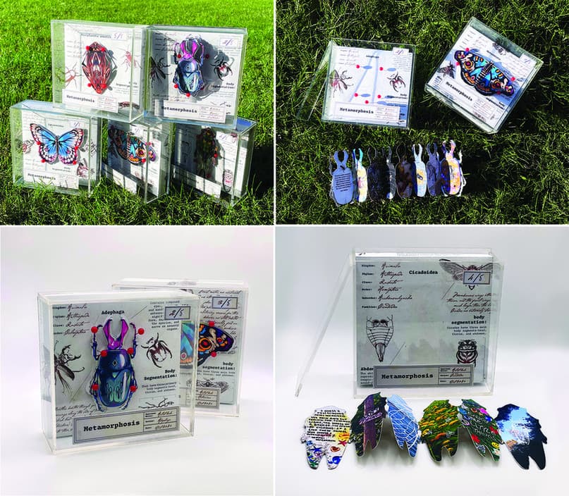 Metamorphosis Artists Books Student Work