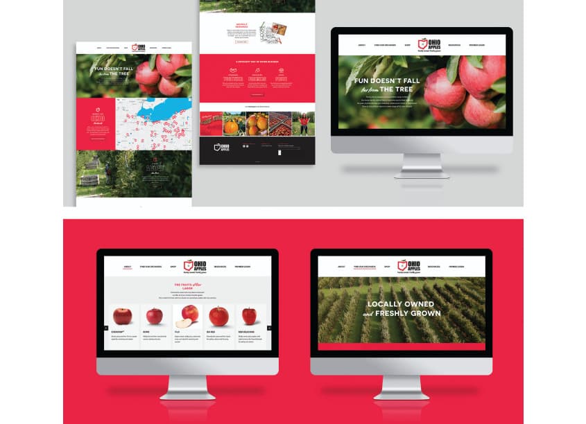 Ohio Apples Website