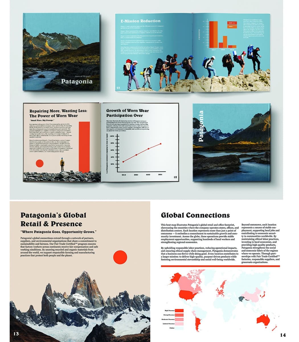 Patagonia Annual Report Student Project