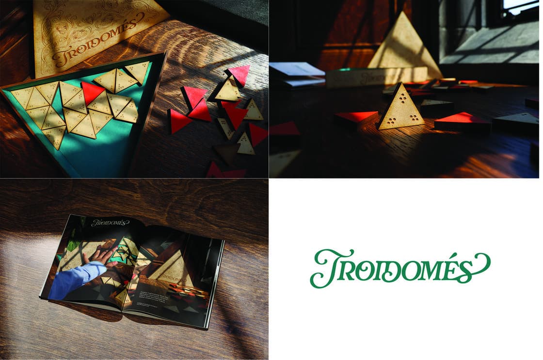 Troidome?s Student Project