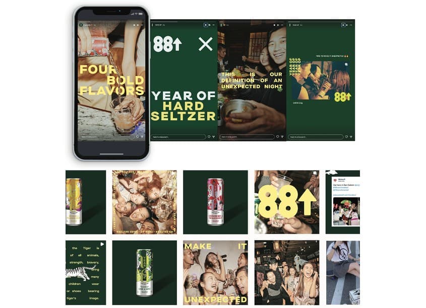 Year of Hard Seltzer Website and Social Media