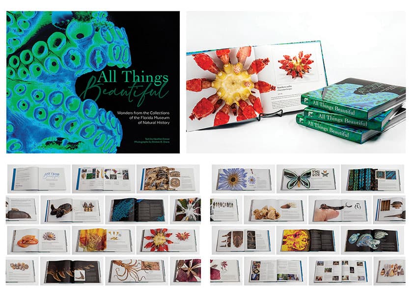 All Things Beautiful Book Design