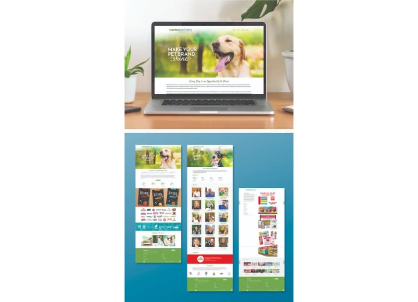 Matrix Partners Website Design