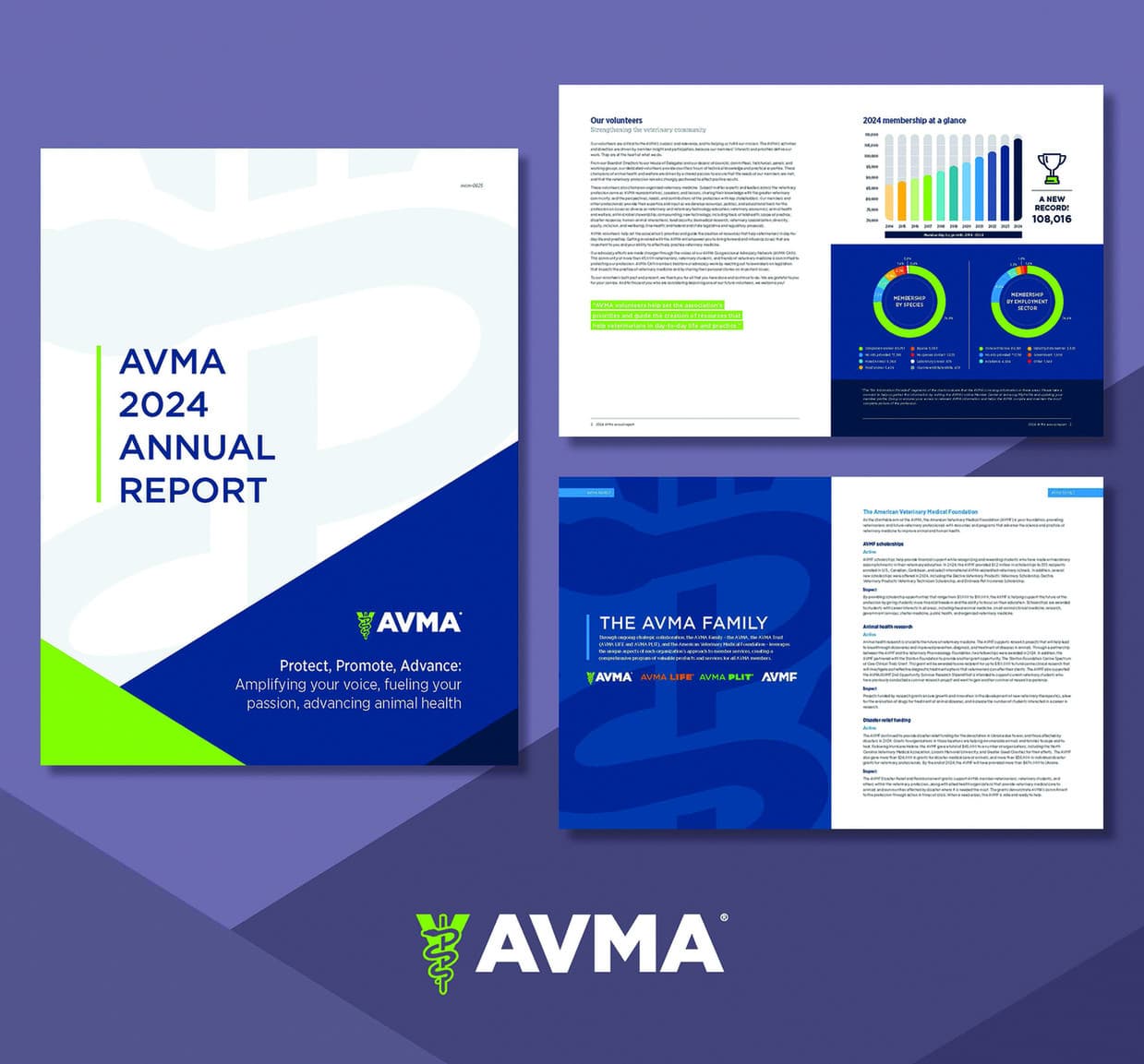 AVMA 2024 Annual Report