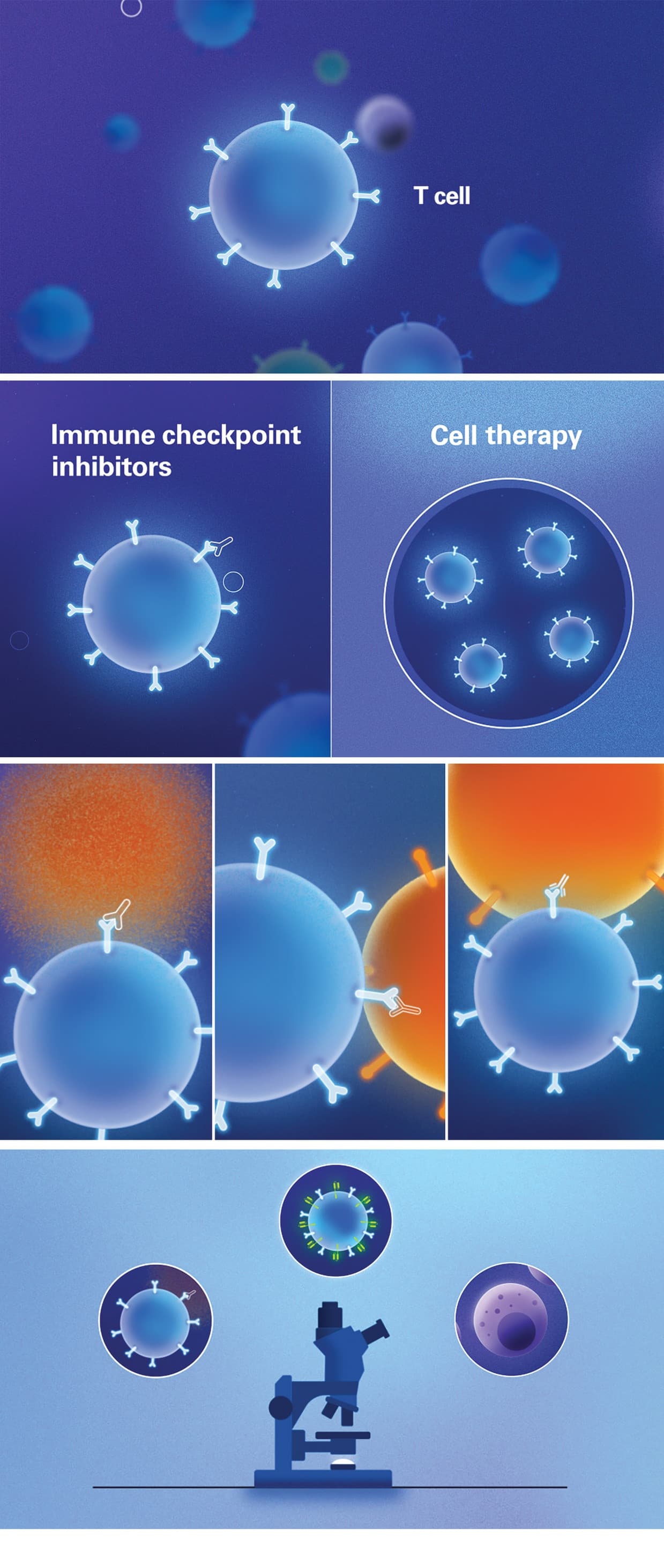 What Is Immunotherapy? Motion Graphics — Motion/Video/Animation design — by University of Texas MD Anderson Cancer Center — 2026 GDUSA award entry