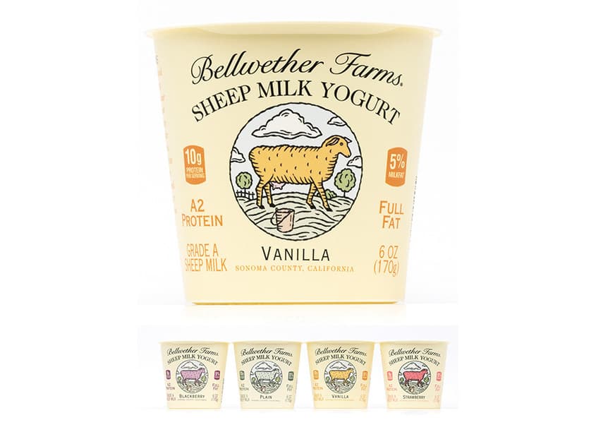 Sheep Milk Yogurt Package Design
